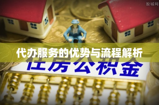 桃江代办服务的优势与流程解析