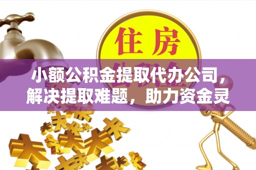 桃江小额公积金提取代办公司，解决提取难题，助力资金灵活使用