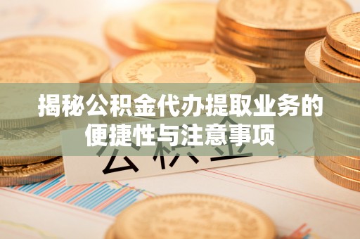 桃江揭秘公积金代办提取业务的便捷性与注意事项