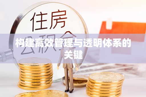 桃江构建高效管理与透明体系的关键