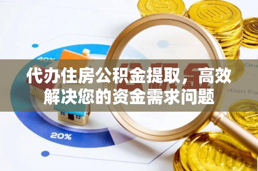 桃江代办住房公积金提取，高效解决您的资金需求问题