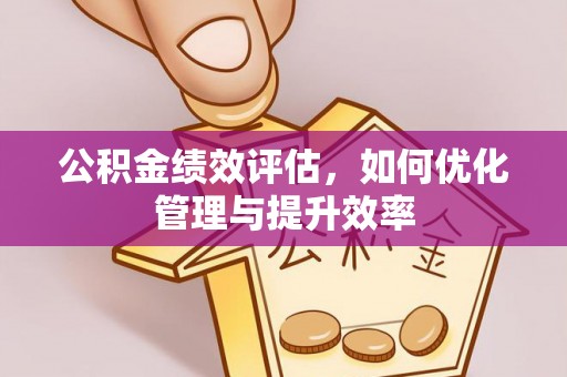 桃江公积金绩效评估，如何优化管理与提升效率