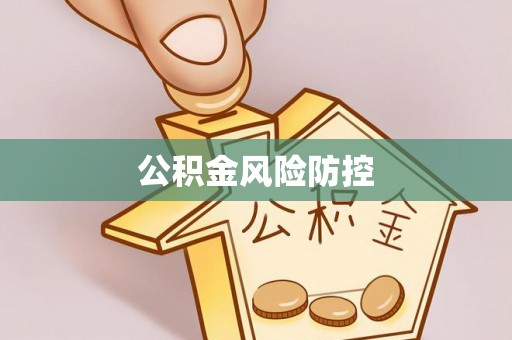 桃江公积金风险防控