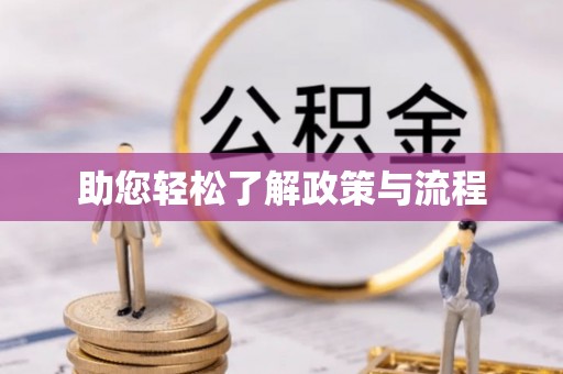 桃江助您轻松了解政策与流程