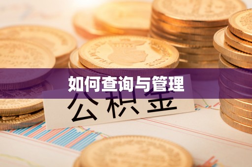 桃江如何查询与管理
