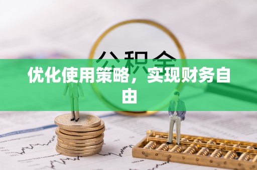 桃江优化使用策略，实现财务自由