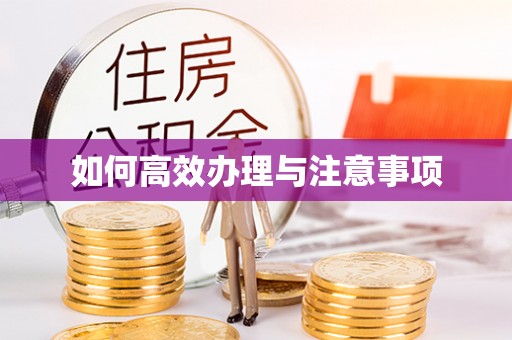 桃江如何高效办理与注意事项