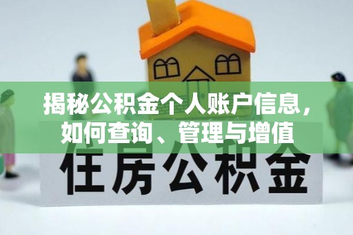 桃江揭秘公积金个人账户信息，如何查询、管理与增值