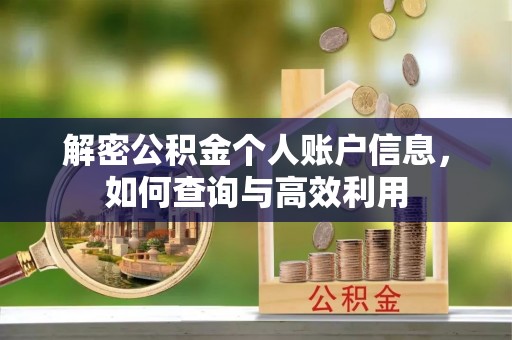 桃江解密公积金个人账户信息，如何查询与高效利用
