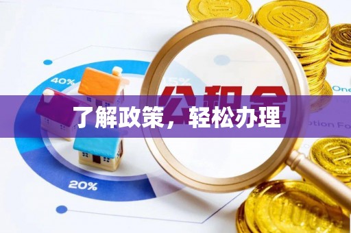 桃江了解政策，轻松办理