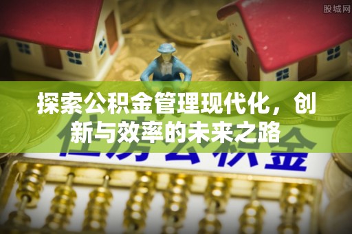 桃江探索公积金管理现代化，创新与效率的未来之路
