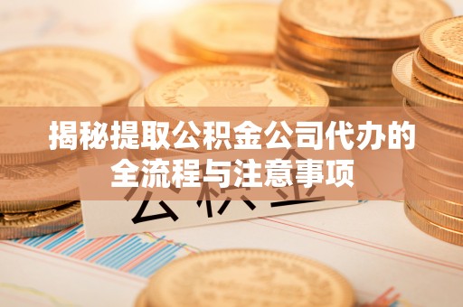 桃江揭秘提取公积金公司代办的全流程与注意事项