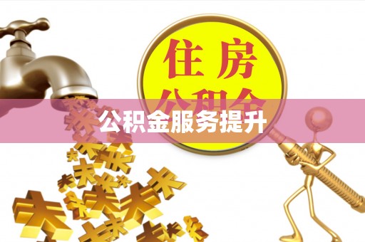 桃江公积金服务提升
