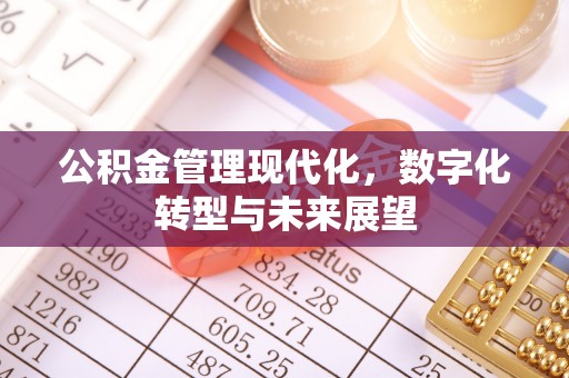 桃江公积金管理现代化，数字化转型与未来展望