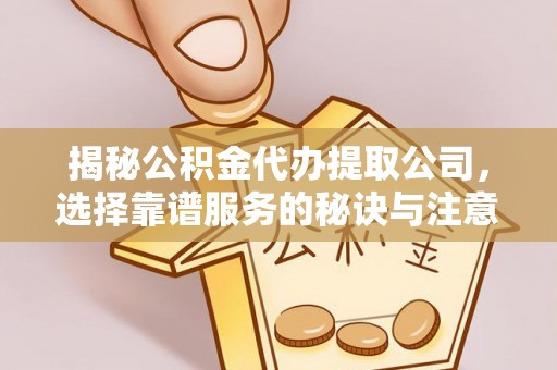 桃江揭秘公积金代办提取公司，选择靠谱服务的秘诀与注意事项