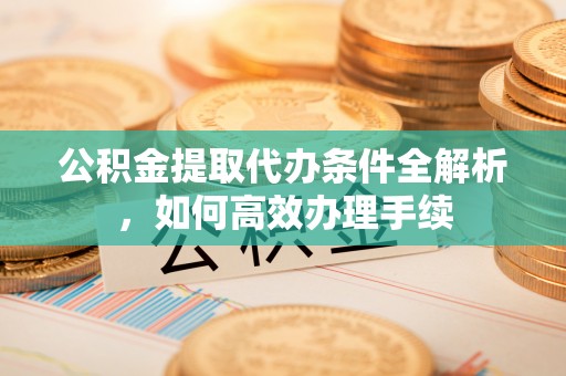 桃江公积金提取代办条件全解析，如何高效办理手续