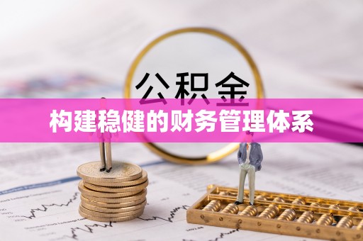 桃江构建稳健的财务管理体系