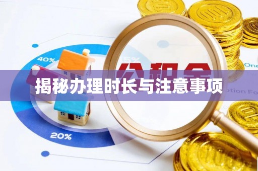 桃江揭秘办理时长与注意事项
