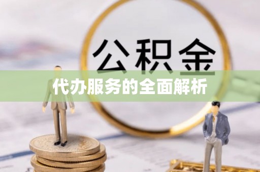 桃江代办服务的全面解析