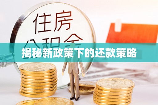 桃江揭秘新政策下的还款策略