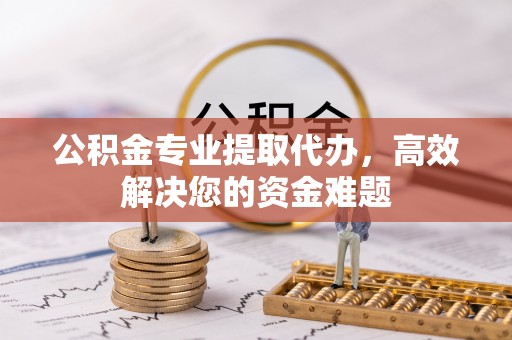 桃江公积金专业提取代办，高效解决您的资金难题