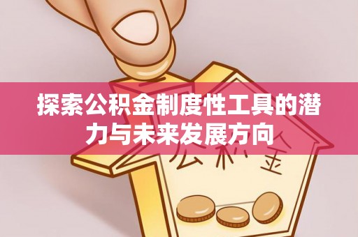 桃江探索公积金制度性工具的潜力与未来发展方向