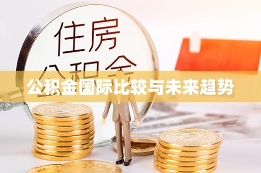 桃江公积金国际比较与未来趋势