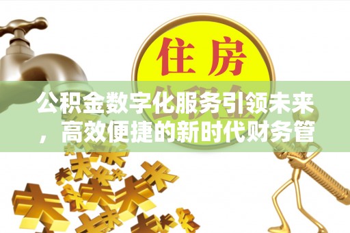 桃江公积金数字化服务引领未来，高效便捷的新时代财务管理