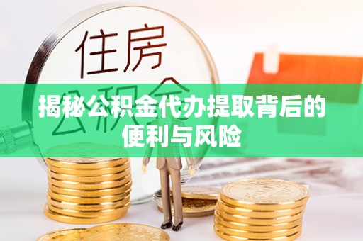 桃江揭秘公积金代办提取背后的便利与风险