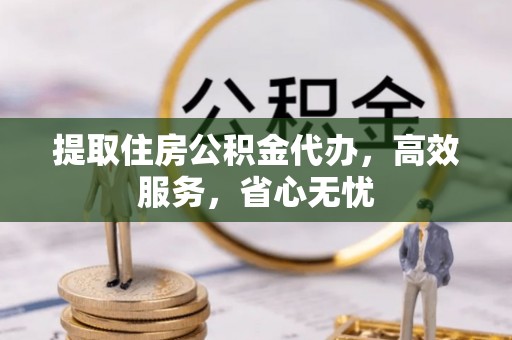 桃江提取住房公积金代办，高效服务，省心无忧