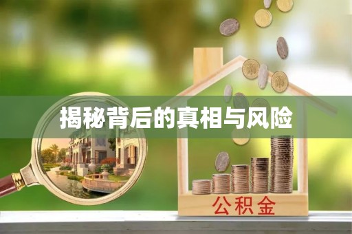 桃江揭秘背后的真相与风险
