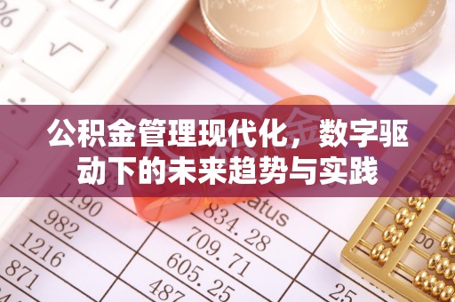 桃江公积金管理现代化，数字驱动下的未来趋势与实践