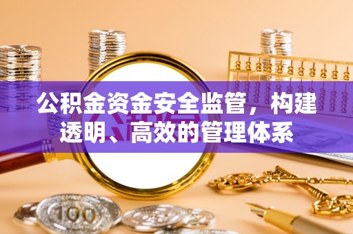 桃江公积金资金安全监管，构建透明、高效的管理体系