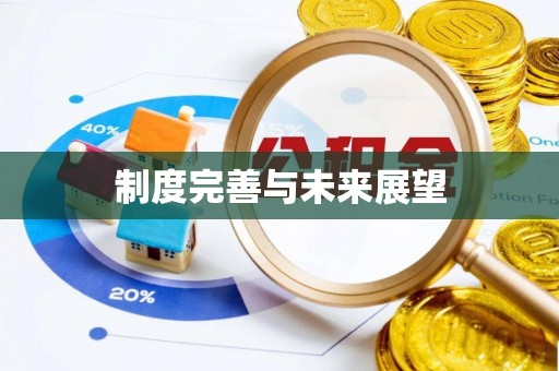 桃江制度完善与未来展望