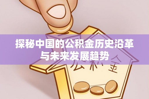 桃江探秘中国的公积金历史沿革与未来发展趋势