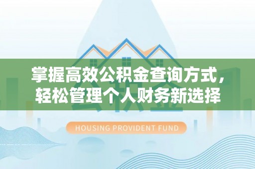 桃江掌握高效公积金查询方式，轻松管理个人财务新选择