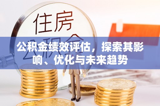 桃江公积金绩效评估，探索其影响、优化与未来趋势