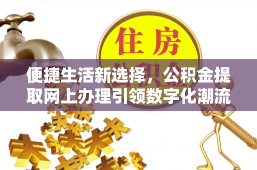 桃江便捷生活新选择，公积金提取网上办理引领数字化潮流
