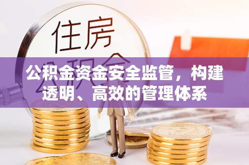 桃江公积金资金安全监管，构建透明、高效的管理体系