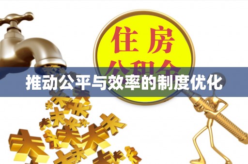 桃江推动公平与效率的制度优化