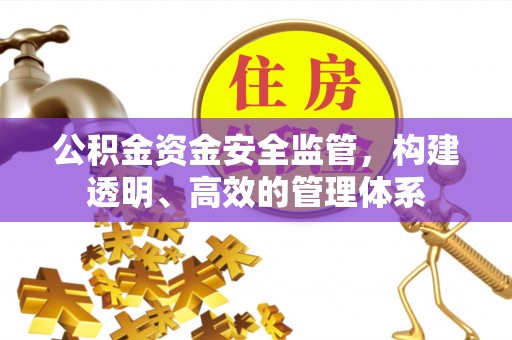 桃江公积金资金安全监管，构建透明、高效的管理体系
