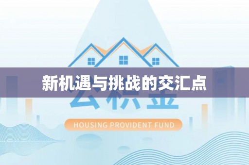 桃江新机遇与挑战的交汇点