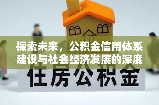 桃江探索未来，公积金信用体系建设与社会经济发展的深度融合