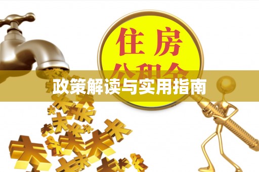 桃江政策解读与实用指南