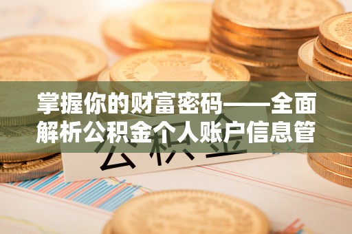 桃江掌握你的财富密码——全面解析公积金个人账户信息管理与优化