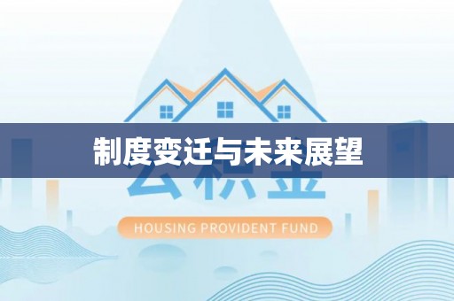 桃江制度变迁与未来展望
