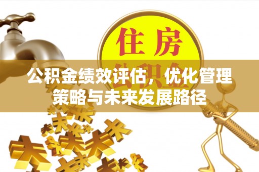 桃江公积金绩效评估，优化管理策略与未来发展路径