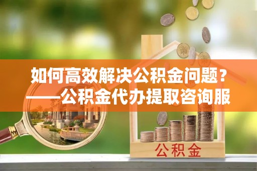 桃江如何高效解决公积金问题？——公积金代办提取咨询服务指南