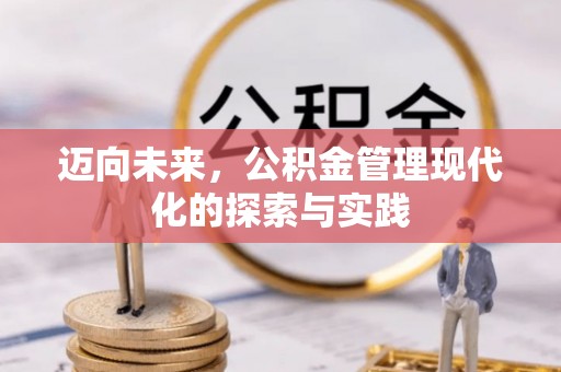 桃江迈向未来，公积金管理现代化的探索与实践