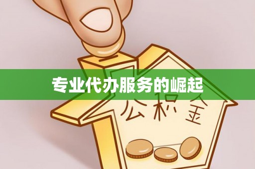 桃江专业代办服务的崛起